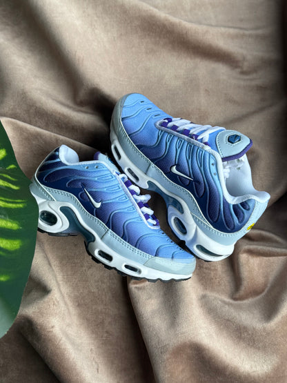 Nike Air Max TN