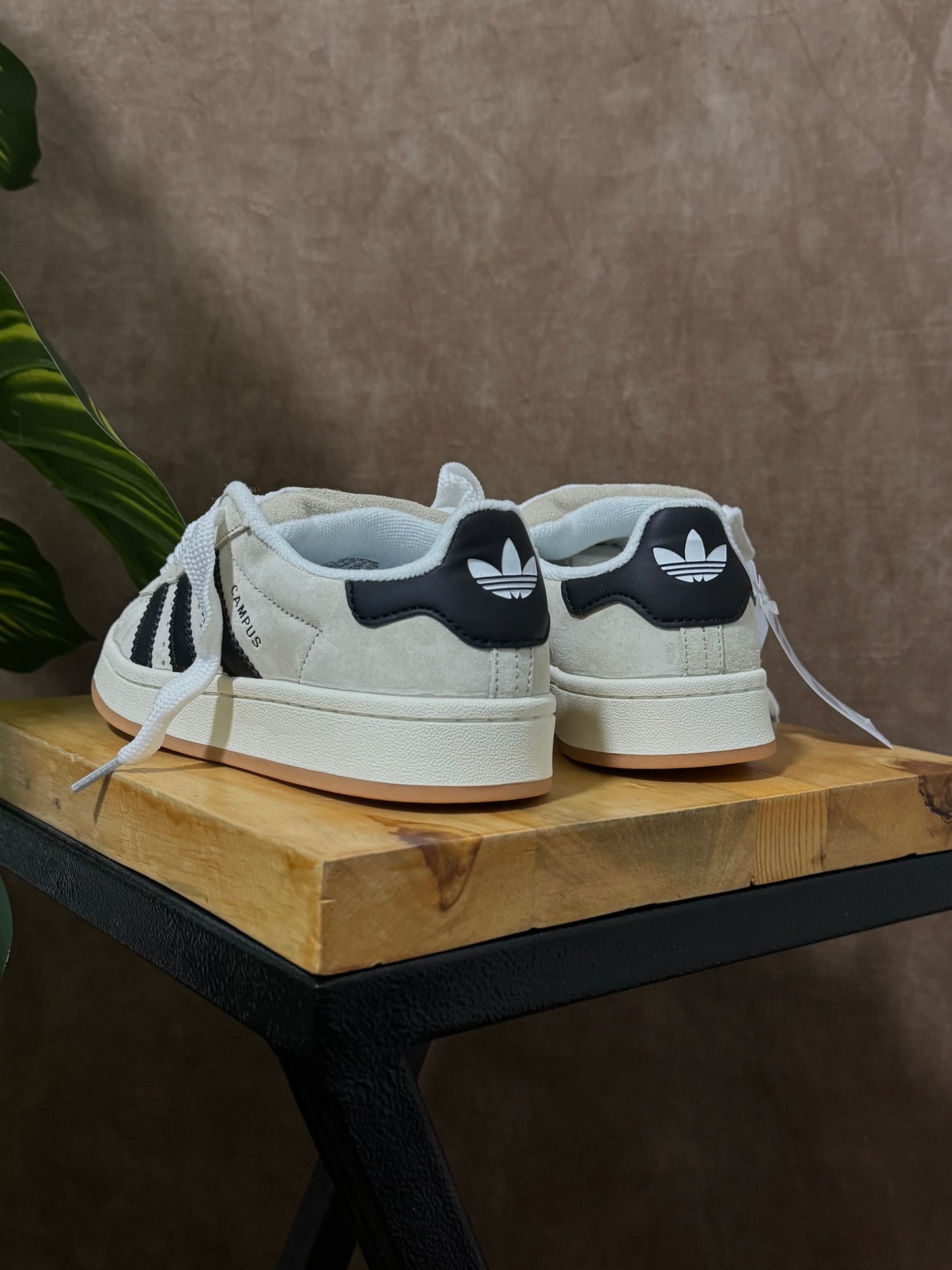 Adidas Campus Gris