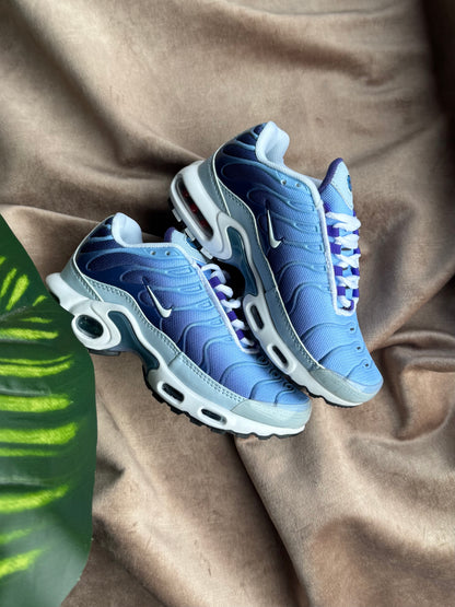 Nike Air Max TN