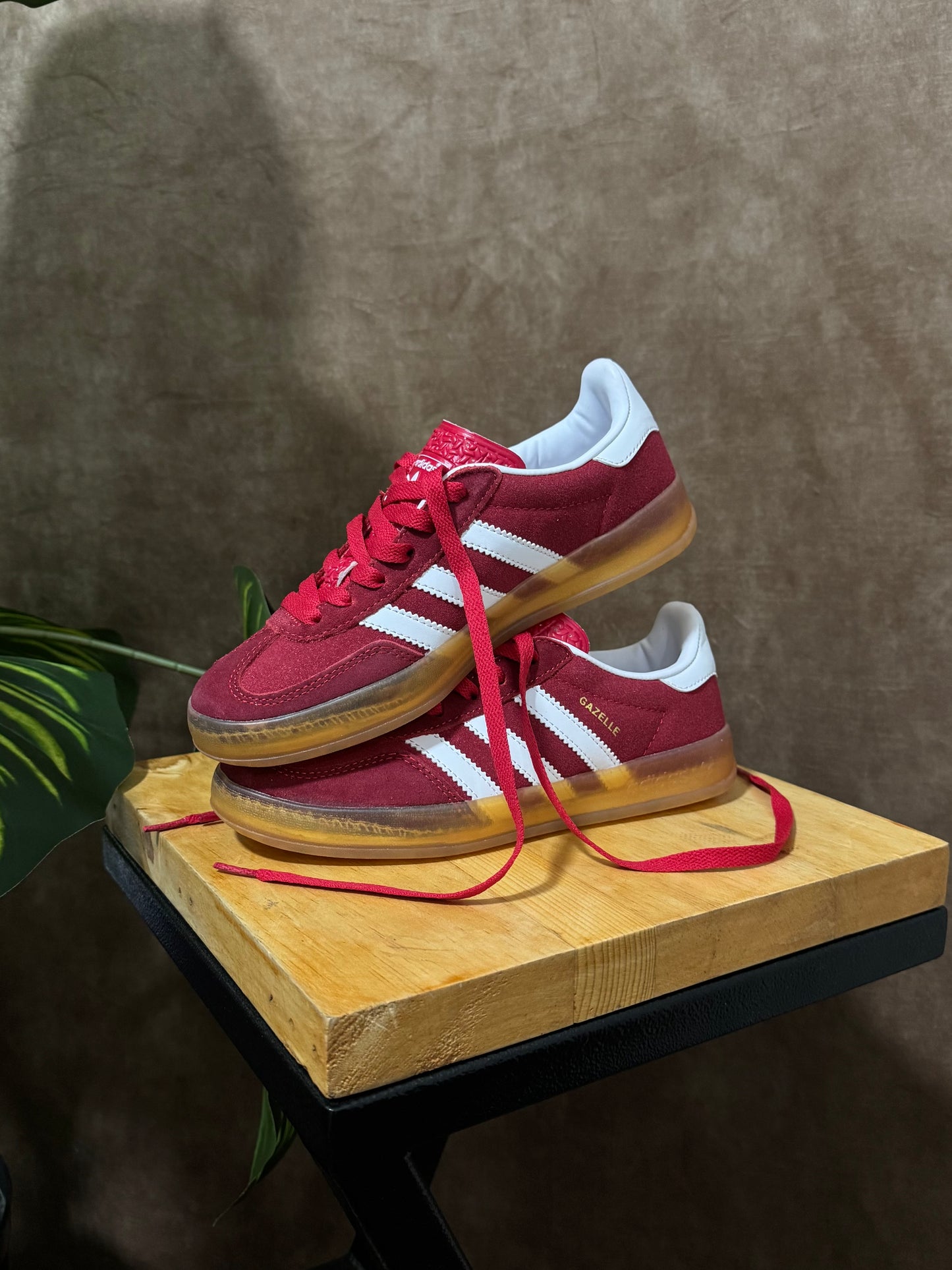 Adidas Gazelle Indoor “Red”