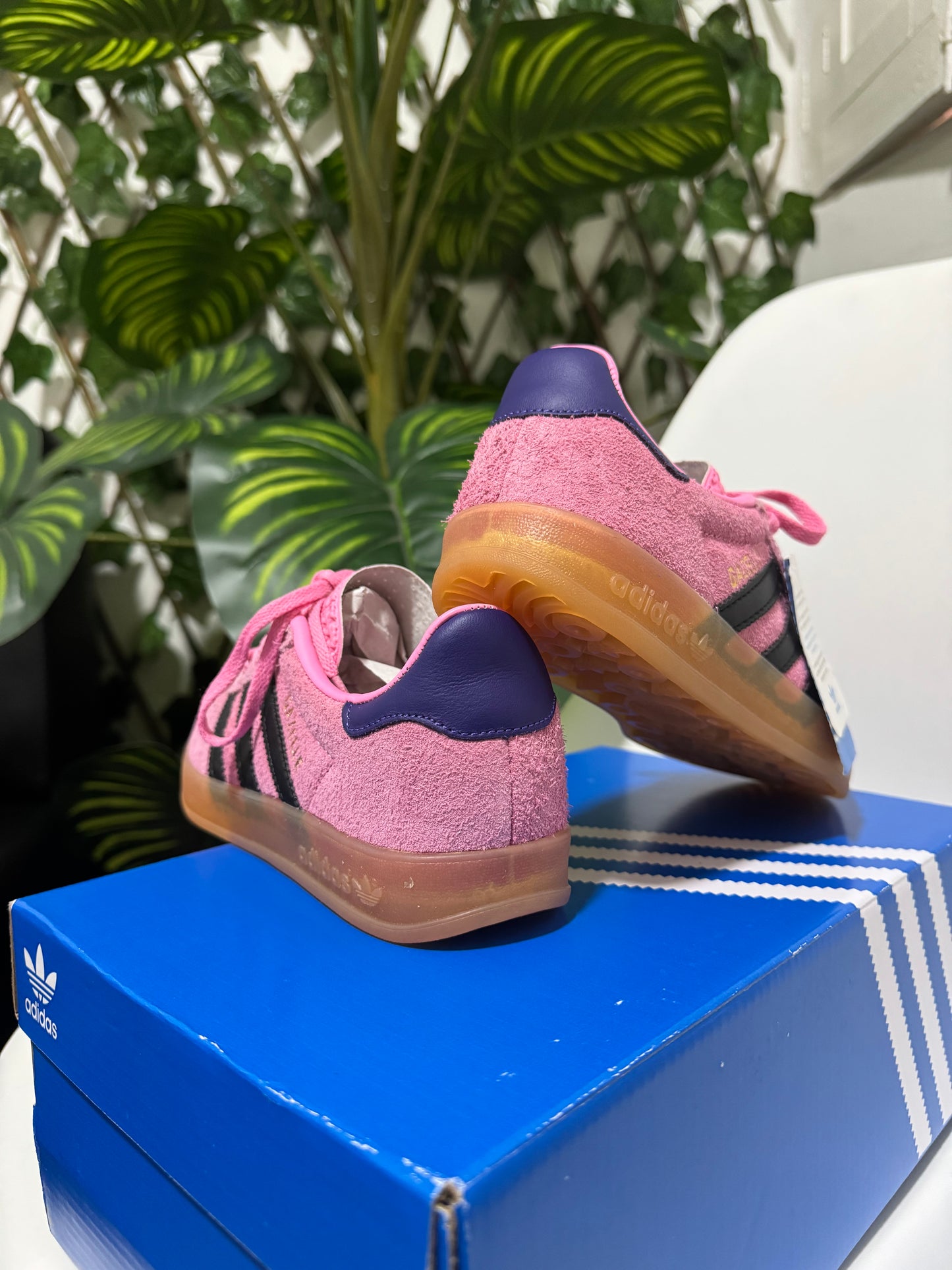 Adidas Gazelle Indoor