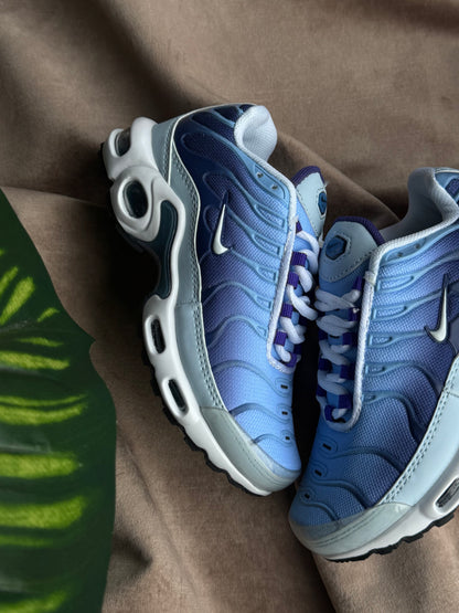 Nike Air Max TN