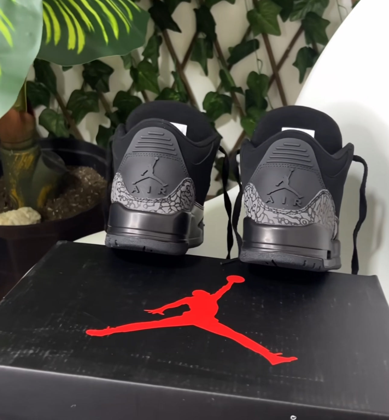 Air Jordan 3 “Black Cat”