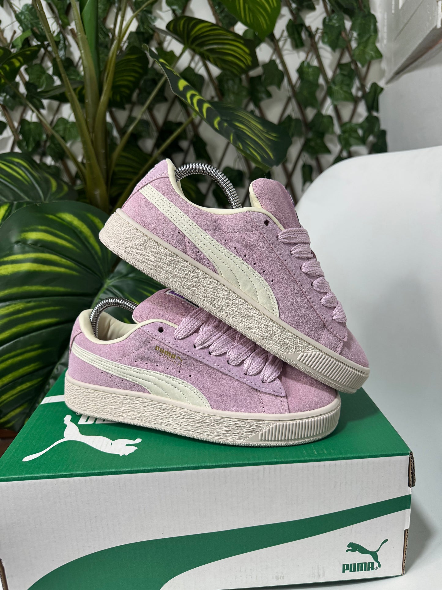 Puma XL Pink