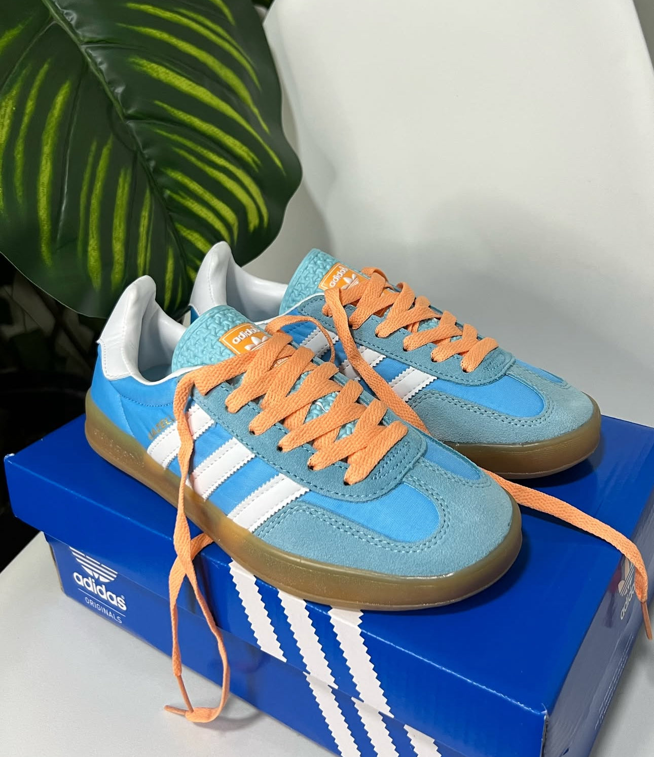 Adidas Gazelle Indoor “Prevolet”