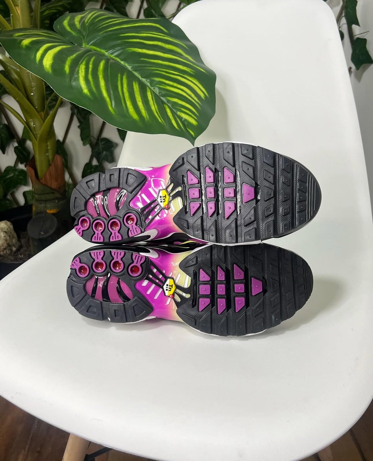 Nike Air Max Plus TN