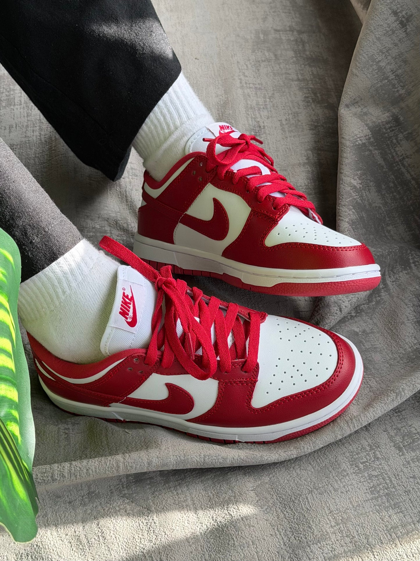 Nike SB Dunk Low “Red”
