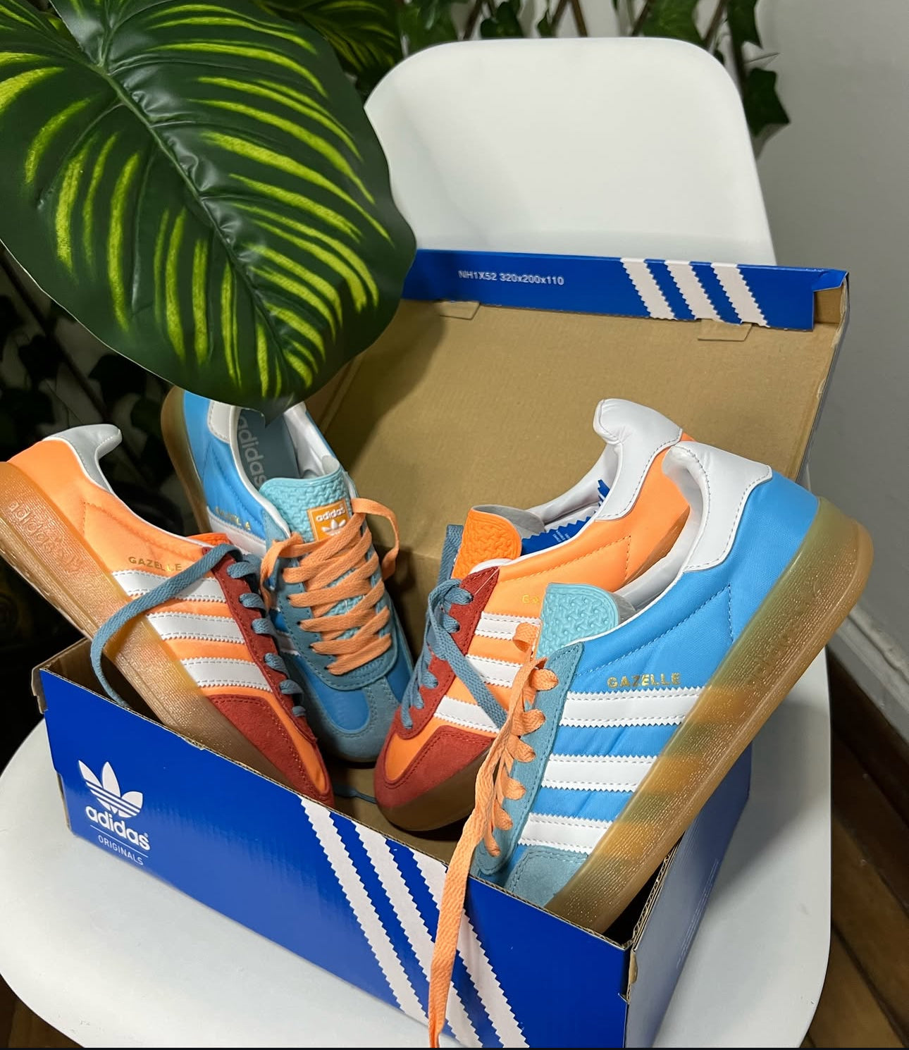 Adidas Gazelle Indoor “Prevolet”
