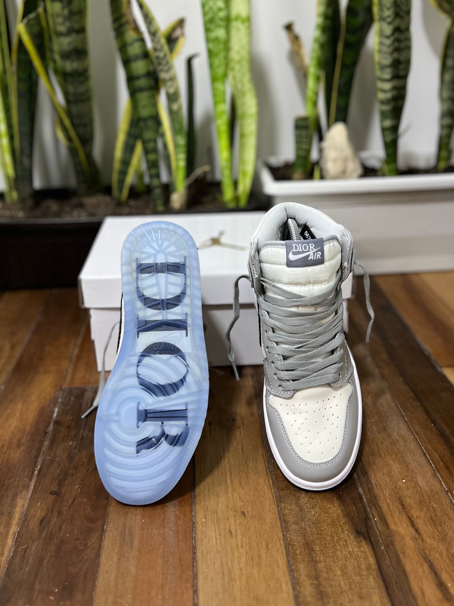 Air Jordan 1 High x Dior