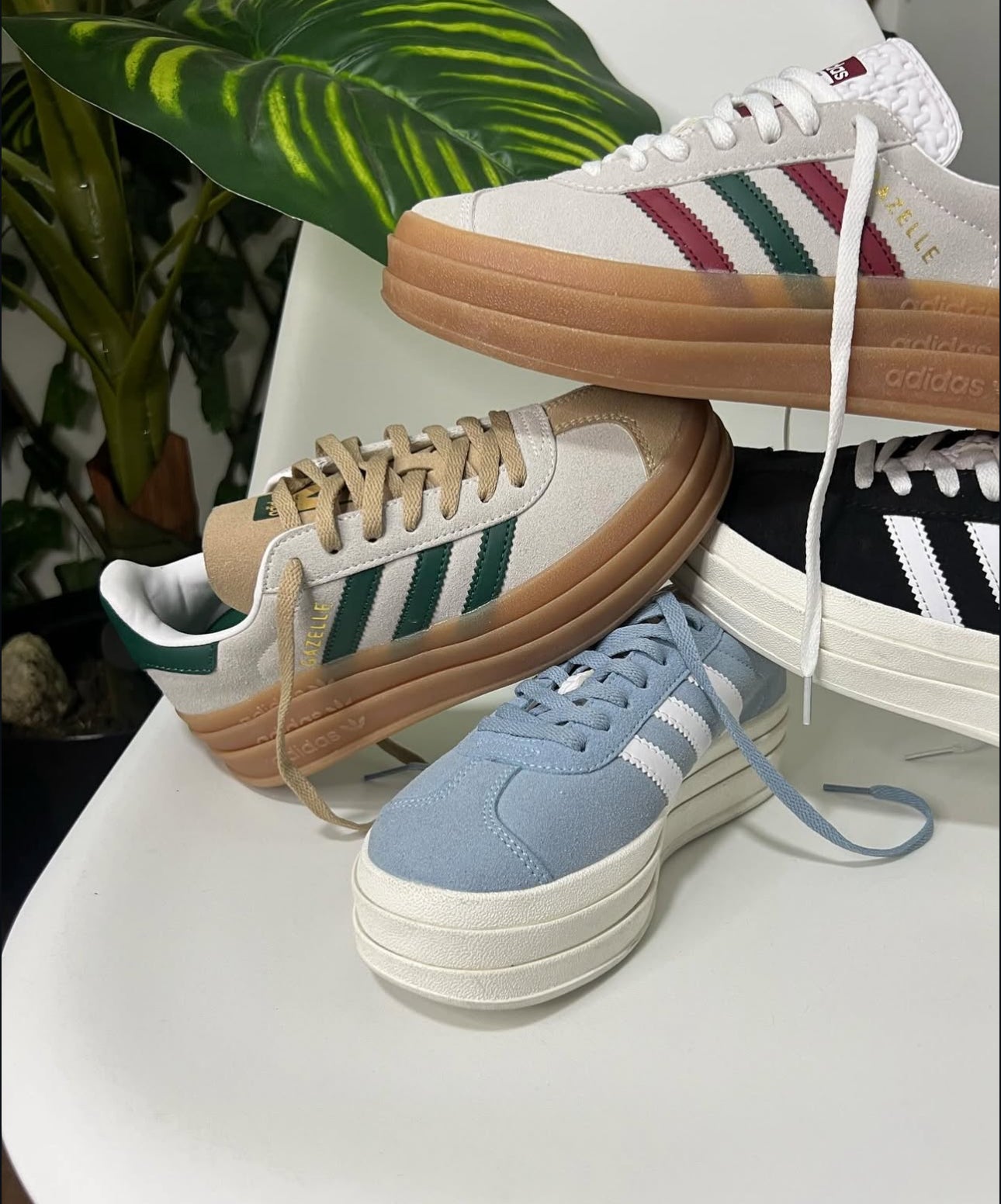 Adidas Gazelle Bold
