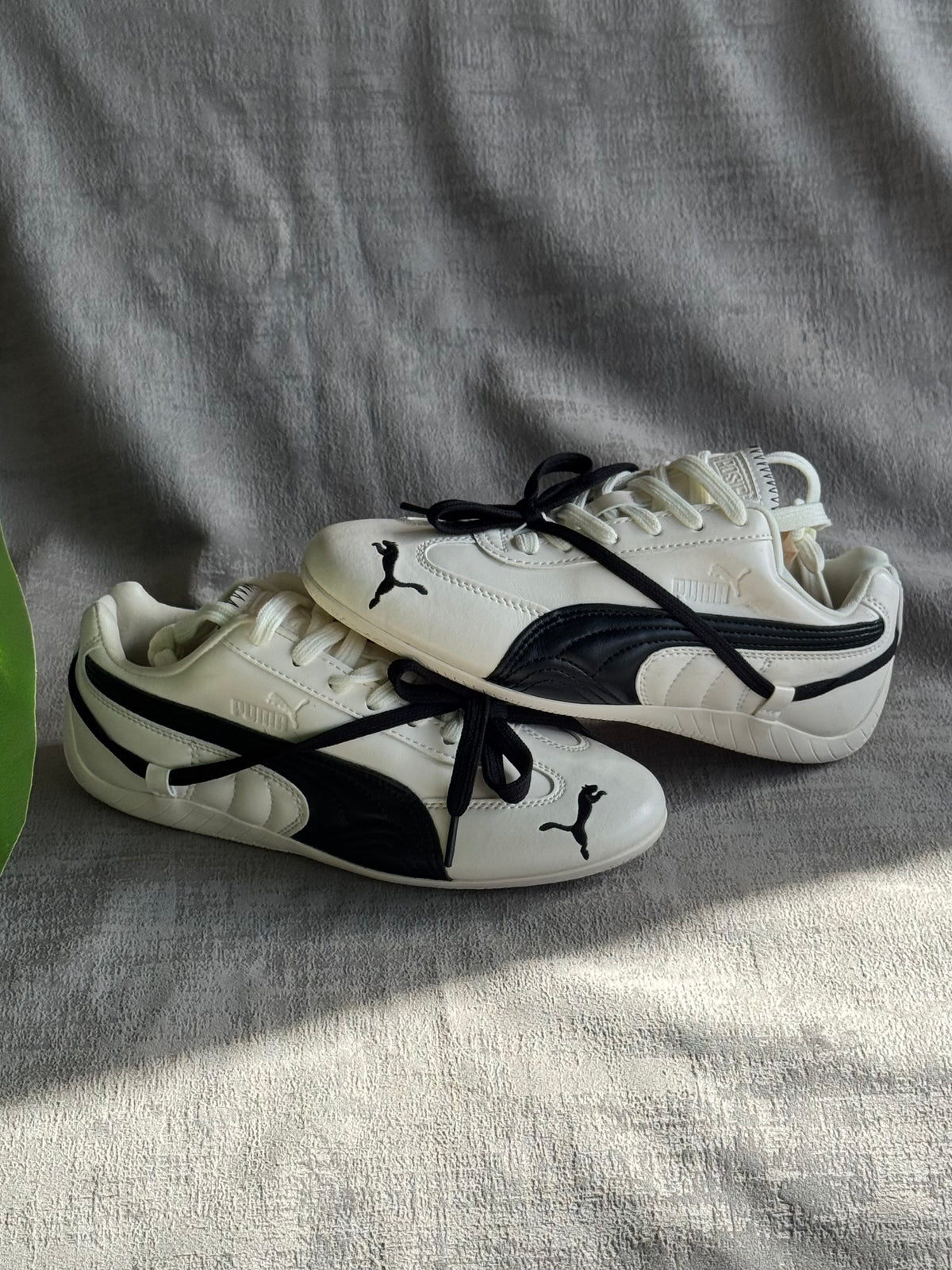 Puma Speedcat x Rosé