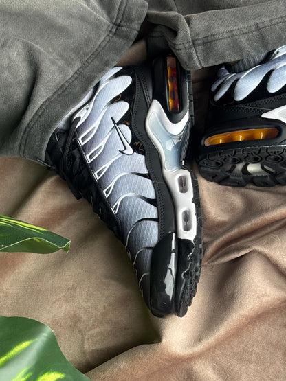 Nike Air Max TN “Grey”