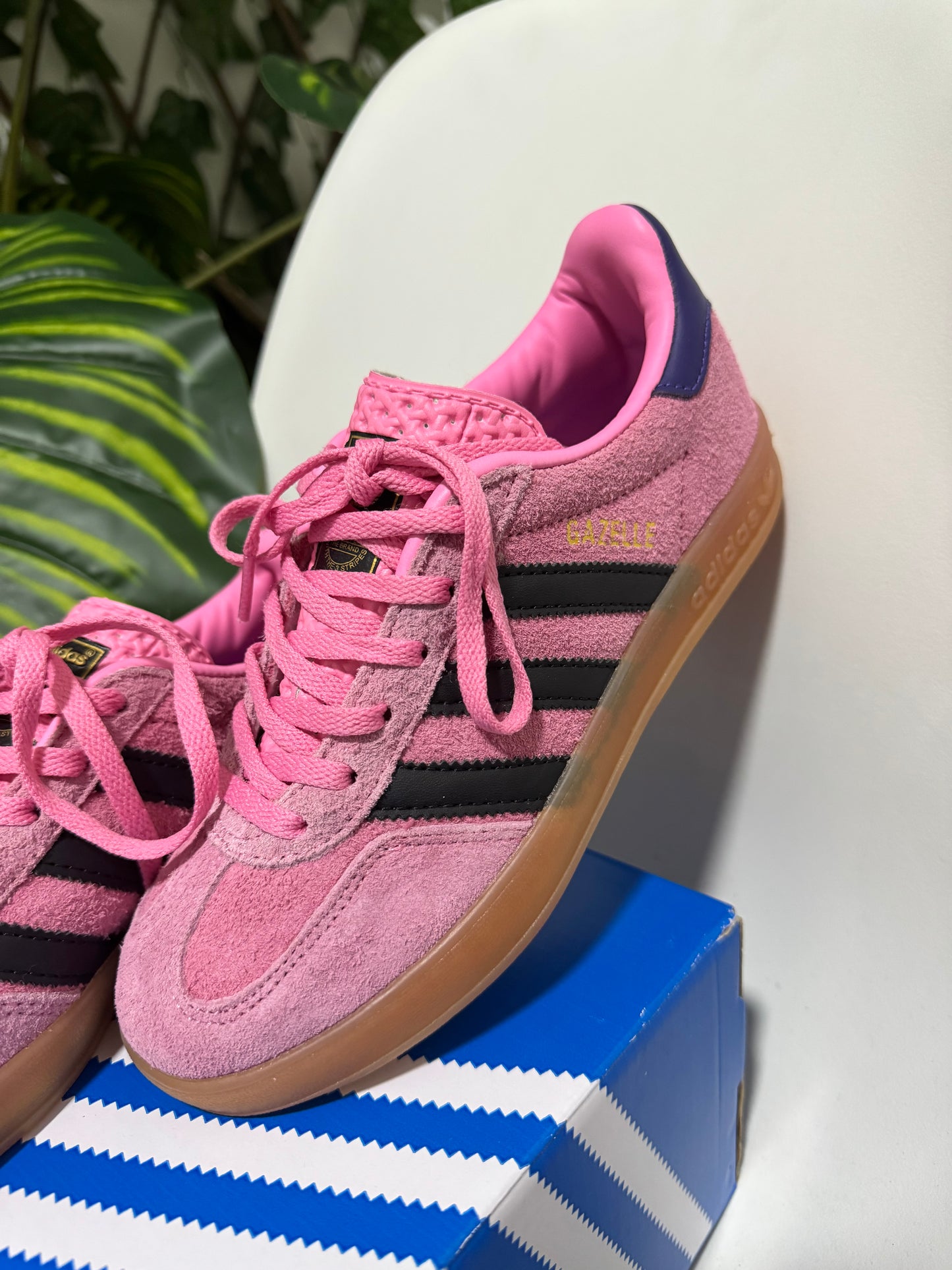 Adidas Gazelle Indoor