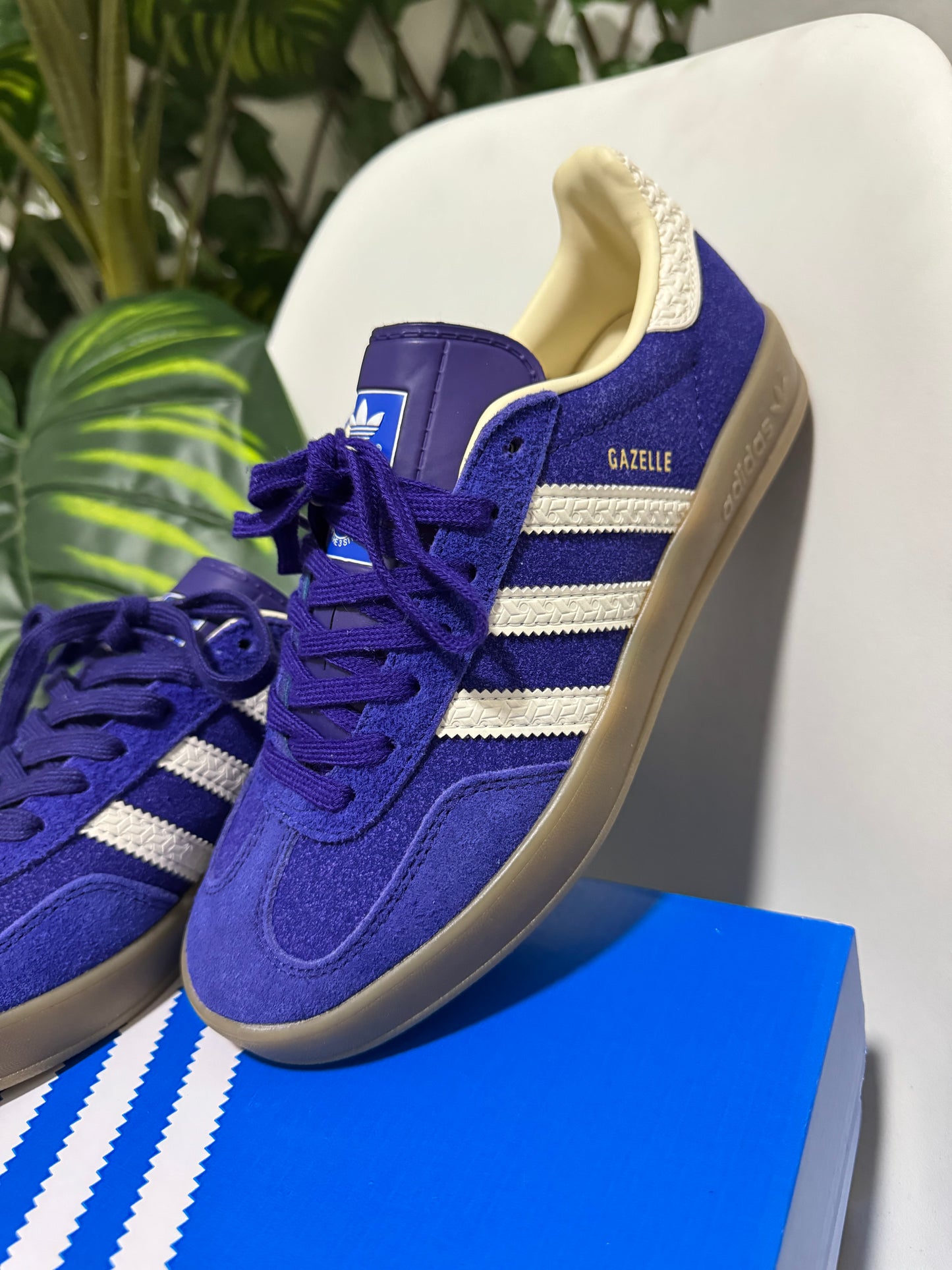 Adidas Gazelle Indoor Morada