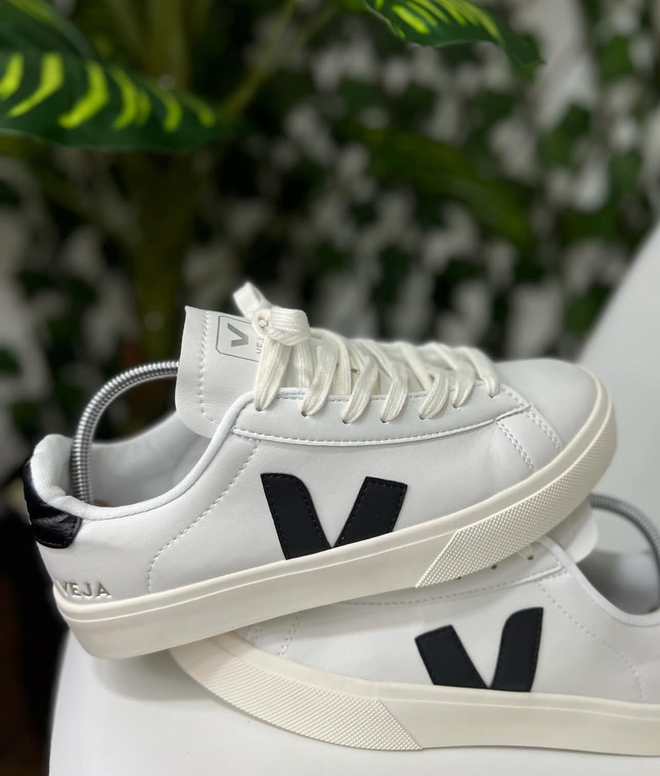 Veja