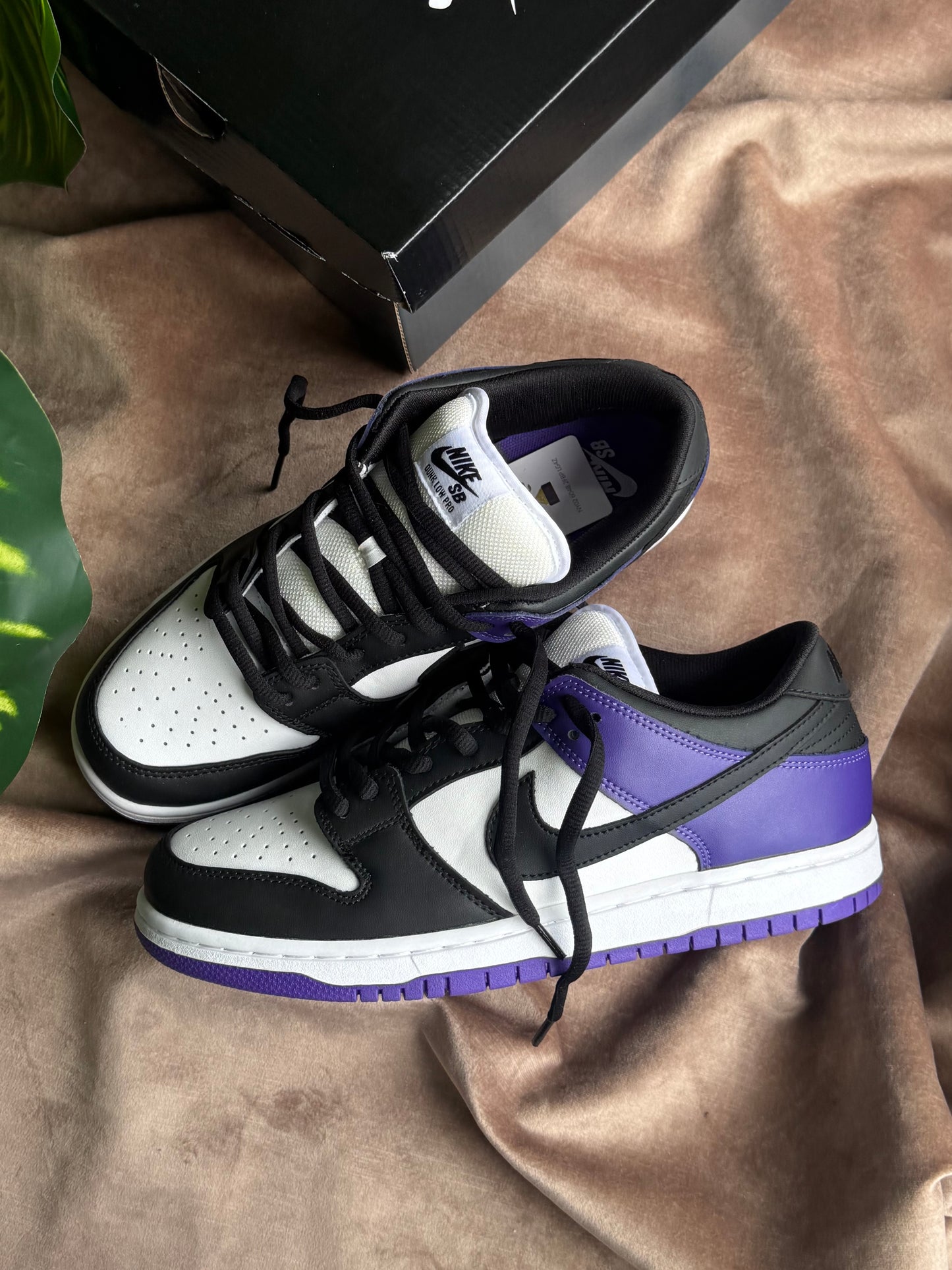 Nike SB Dunk Low “Court Púrpura”