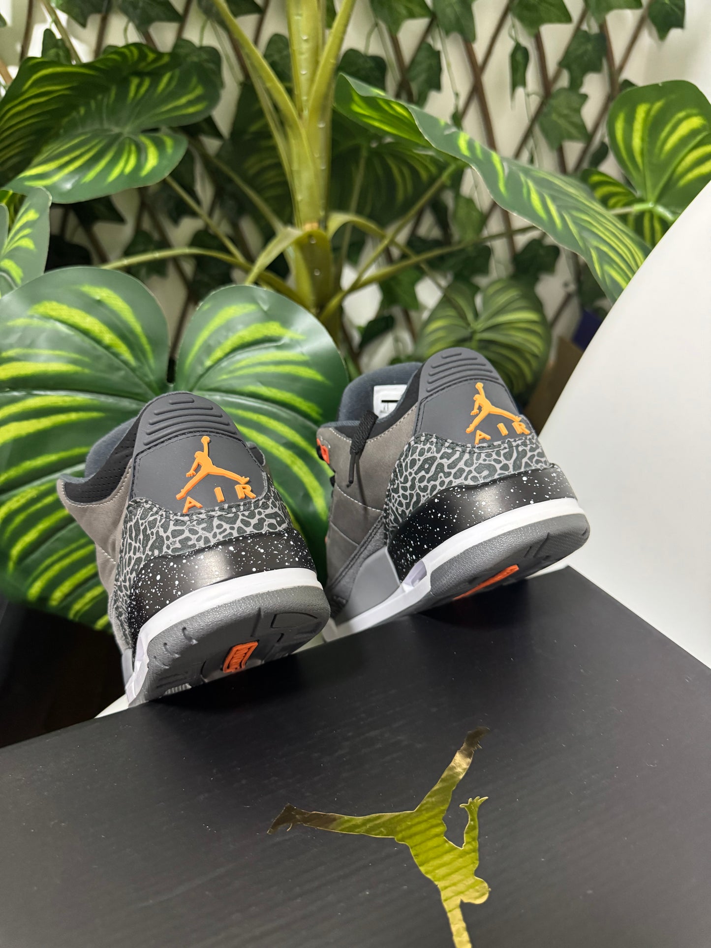 Air Jordan 3 Fear