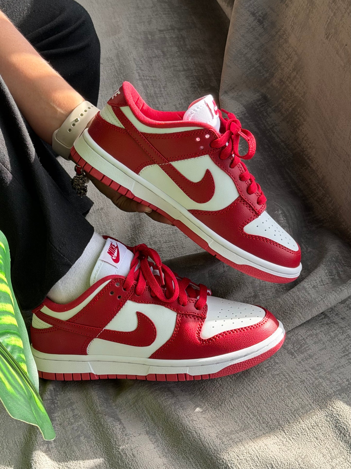 Nike SB Dunk Low “Red”