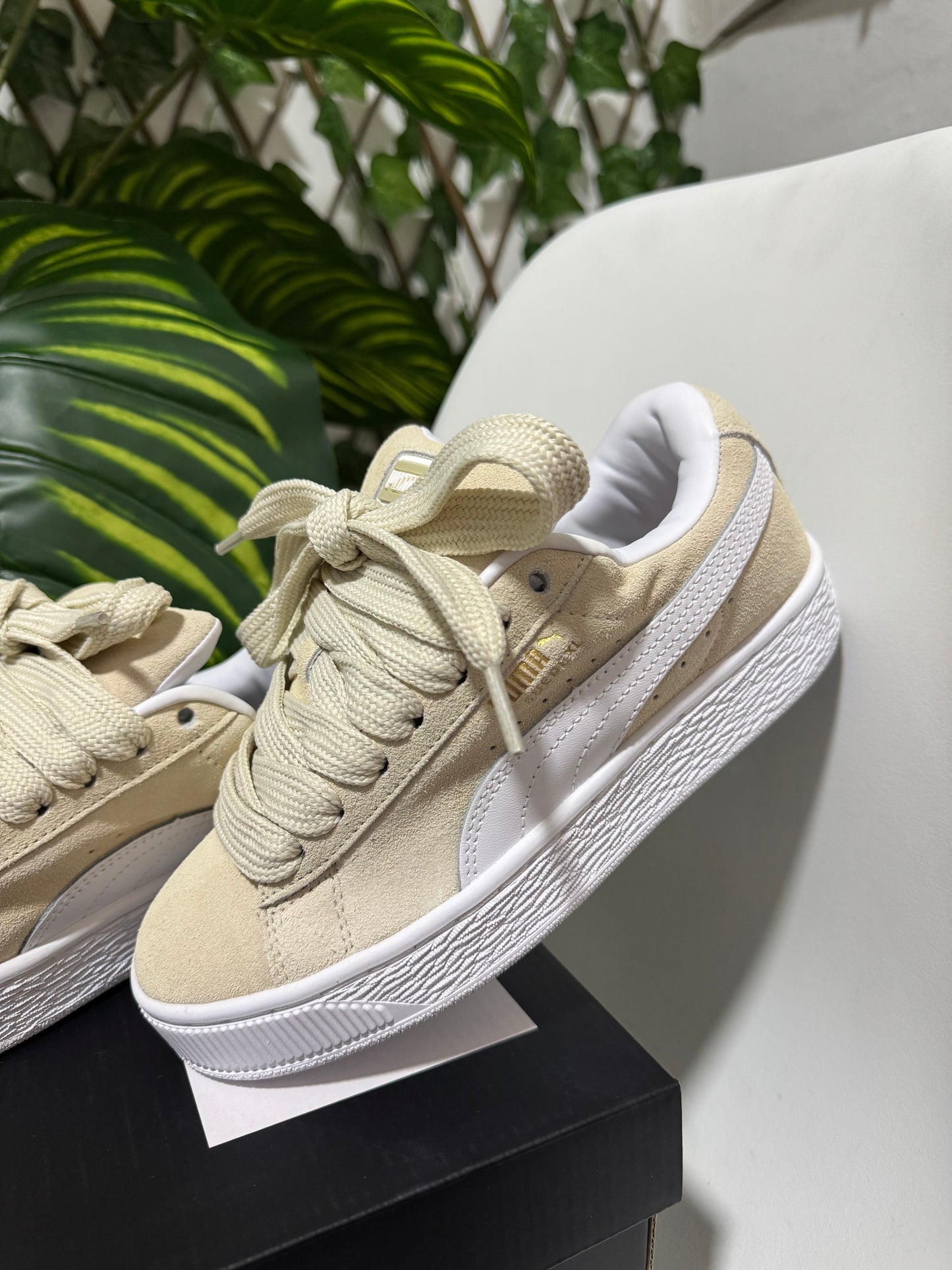 Puma Suede XL Beige