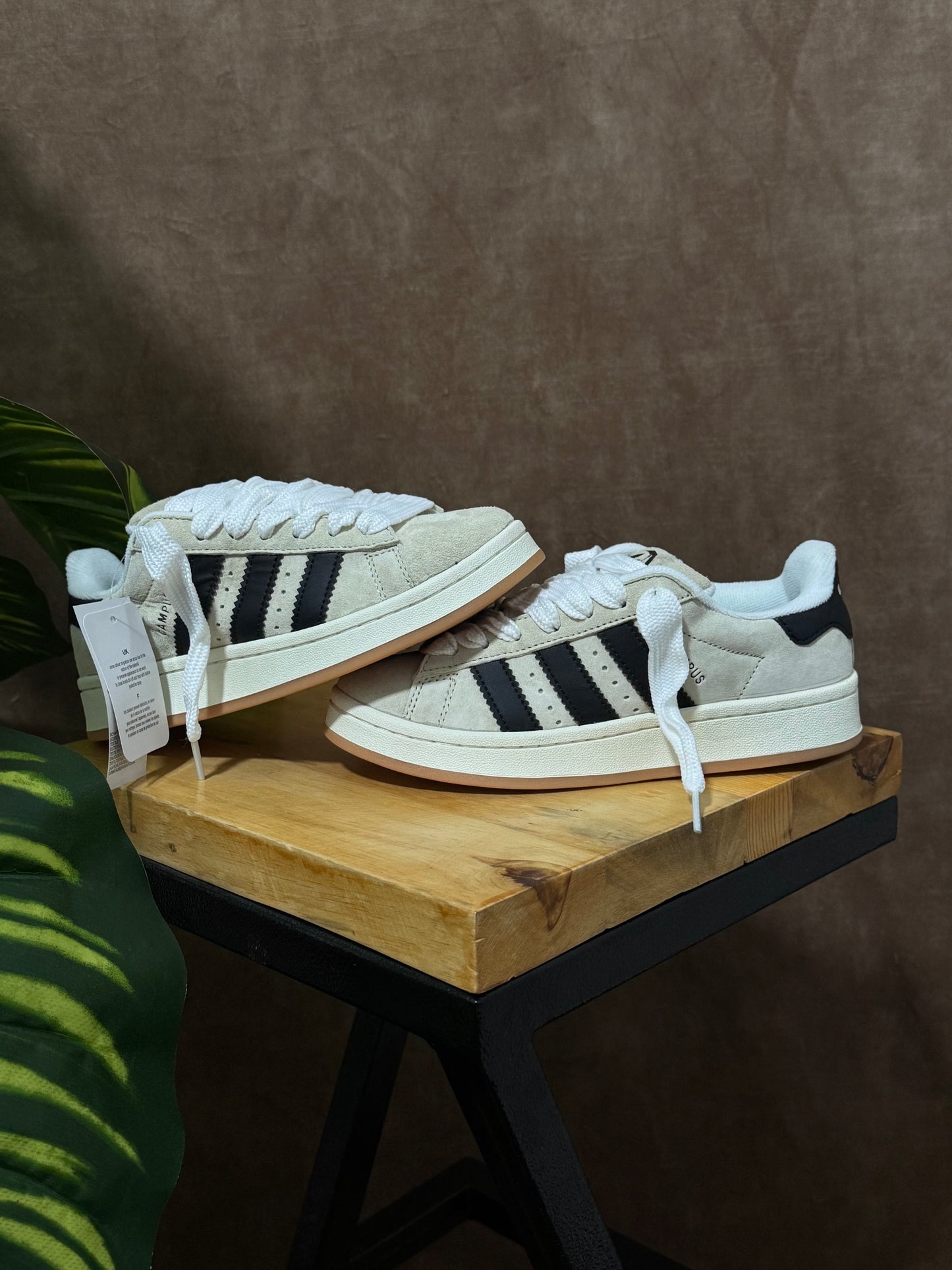 Adidas Campus Gris