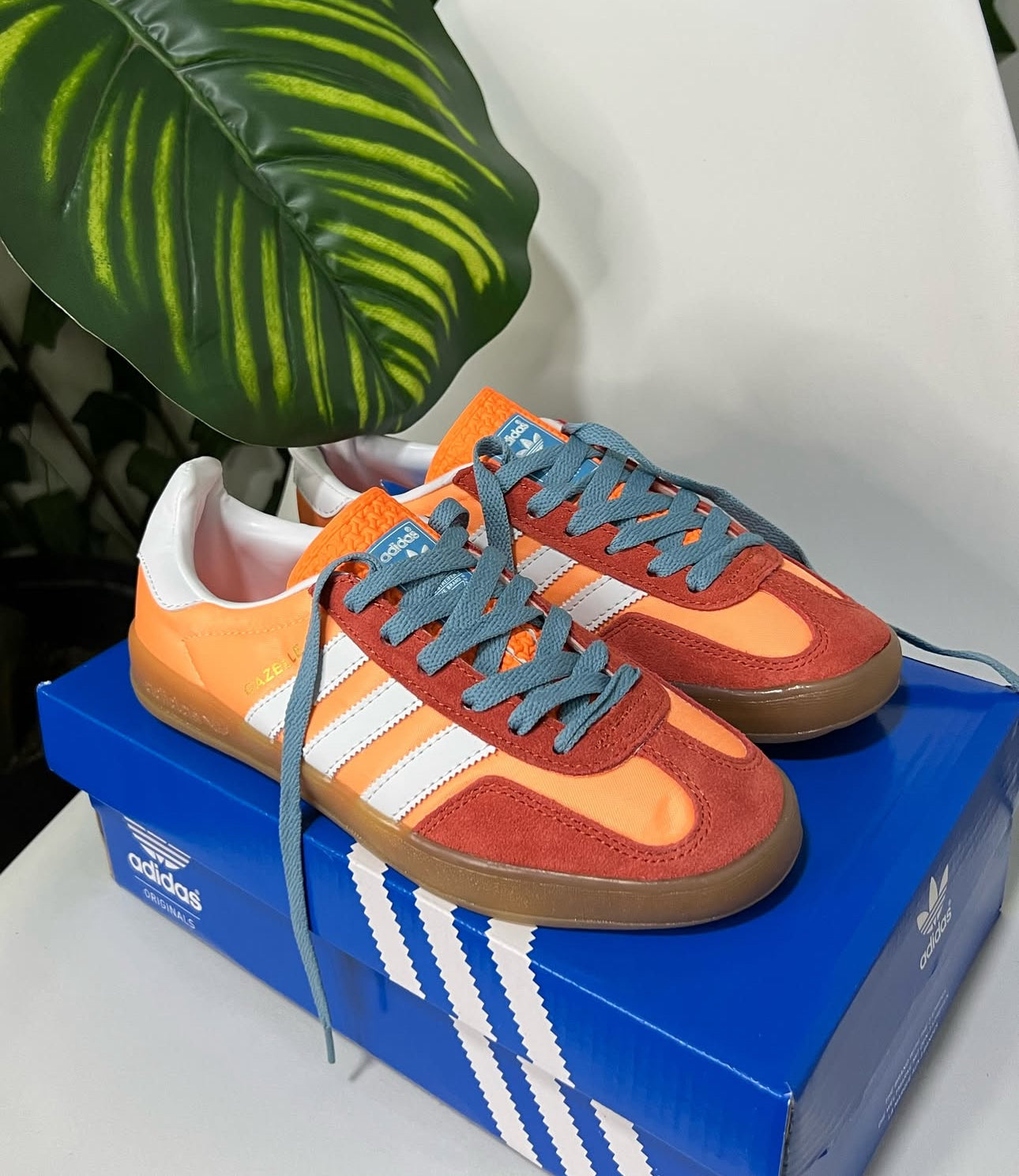 Adidas Gazelle Indoor “Prevolet”