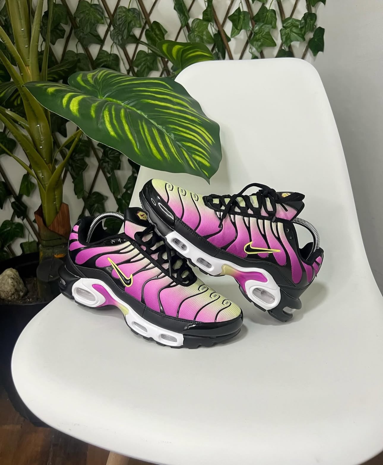 Nike Air Max Plus TN