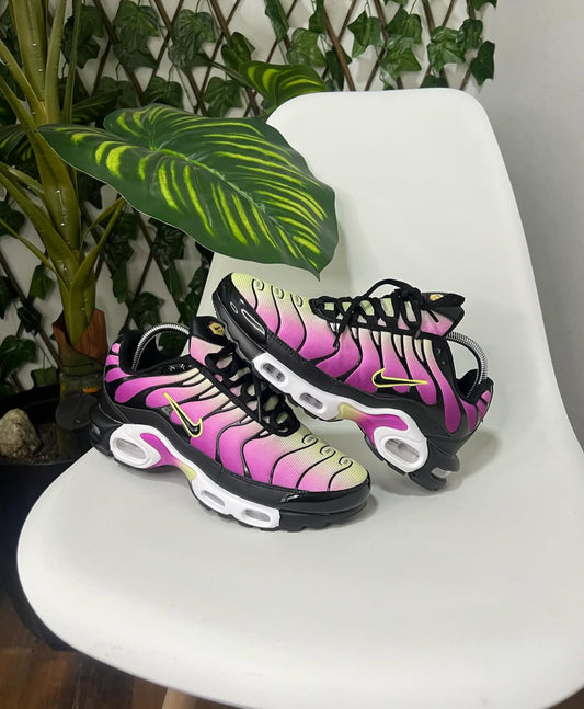 Nike Air Max Plus TN