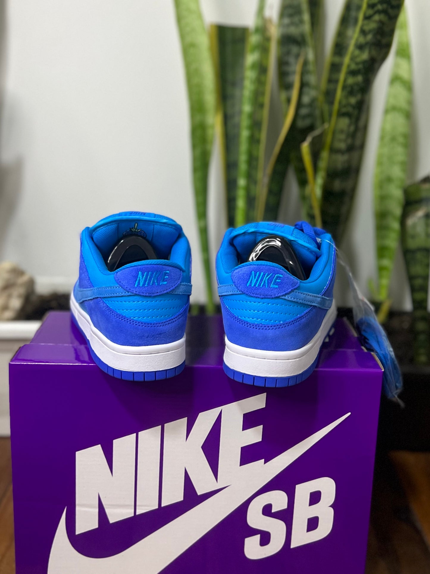 Nike SB Dunk Low “Blue Raspberry”