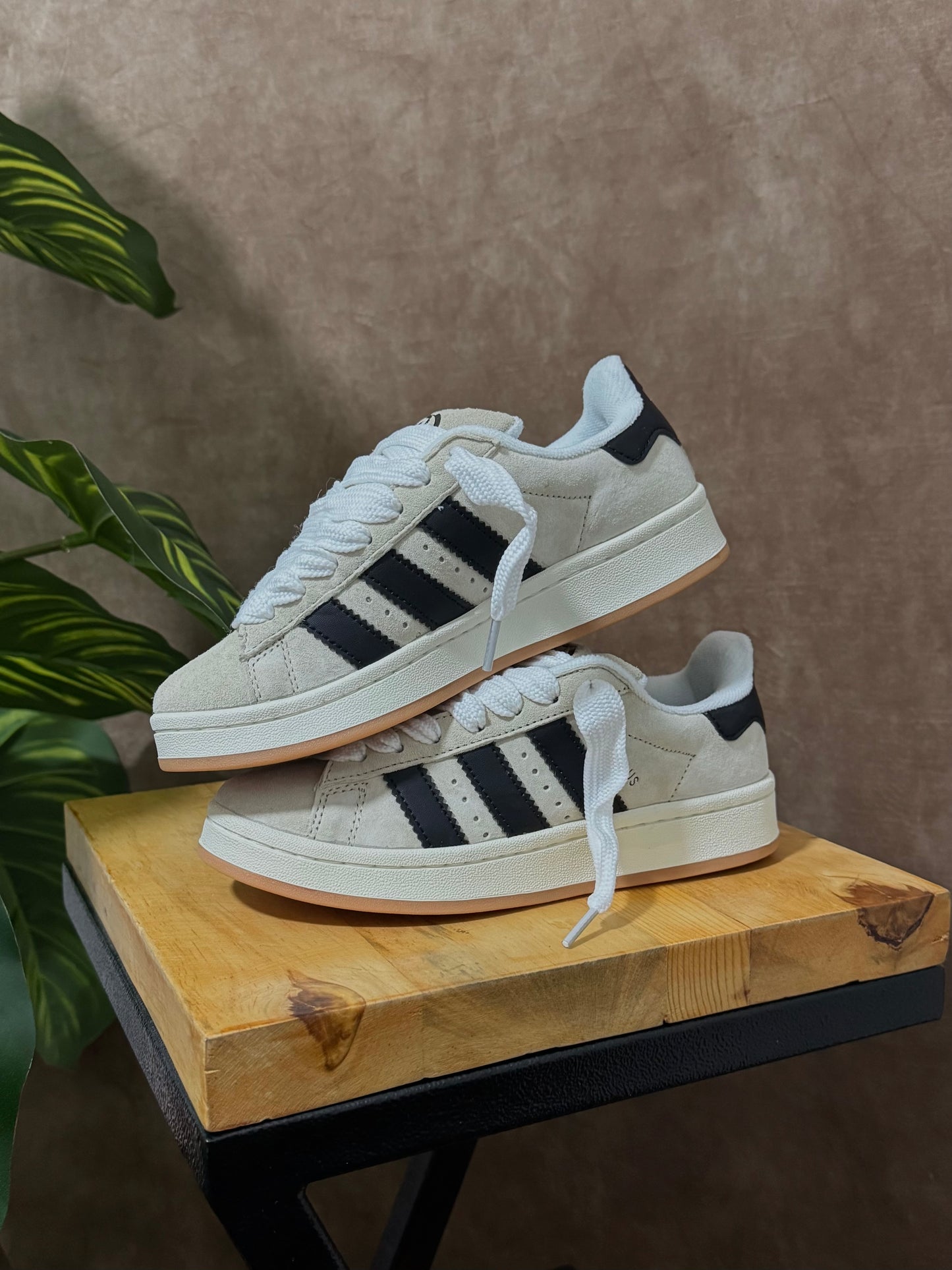Adidas Campus Gris