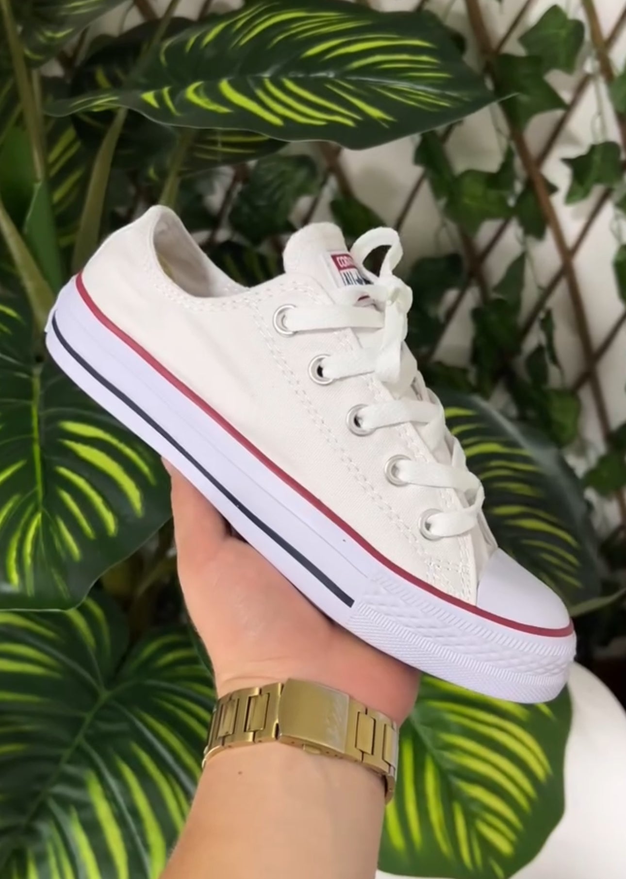 Converse Chuck Taylor All Star Low “Blancas”